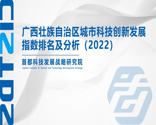 美女任你肏嫩比【成果发布】广西壮族自治区城市科技创新发展指数排名及分析（2022）